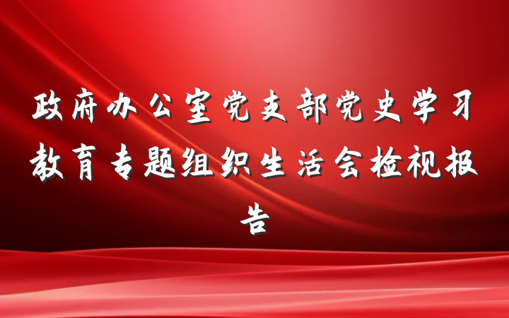 政府办公室党支部党史学习教育专题组织生活会检视报告