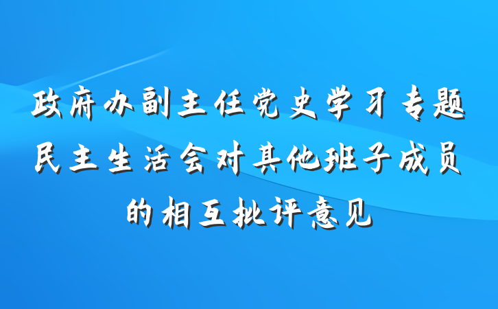 政府办副主任党史学习专题民主生活会对其他班子成员的相互批评意见