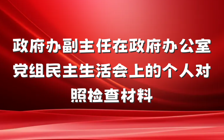 政府办副主任在政府办公室党组民主生活会上的个人对照检查材料