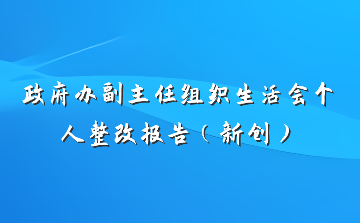 政府办副主任组织生活会个人整改报告（新创）