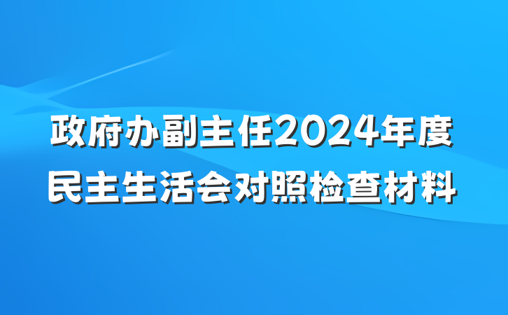 政府办副主任2024年度民主生活会对照检查材料