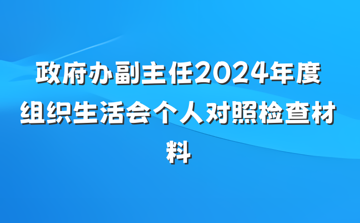 政府办副主任2024年度组织生活会个人对照检查材料