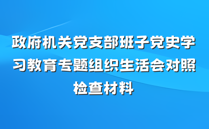 政府机关党支部班子党史学习教育专题组织生活会对照检查材料