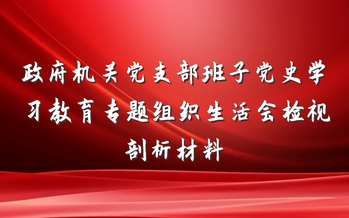 政府机关党支部班子党史学习教育专题组织生活会检视剖析材料