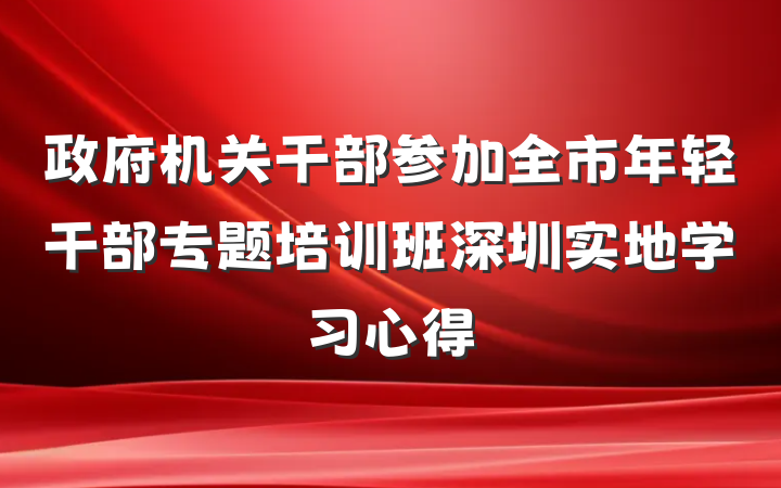 政府机关干部参加全市年轻干部专题培训班深圳实地学习心得