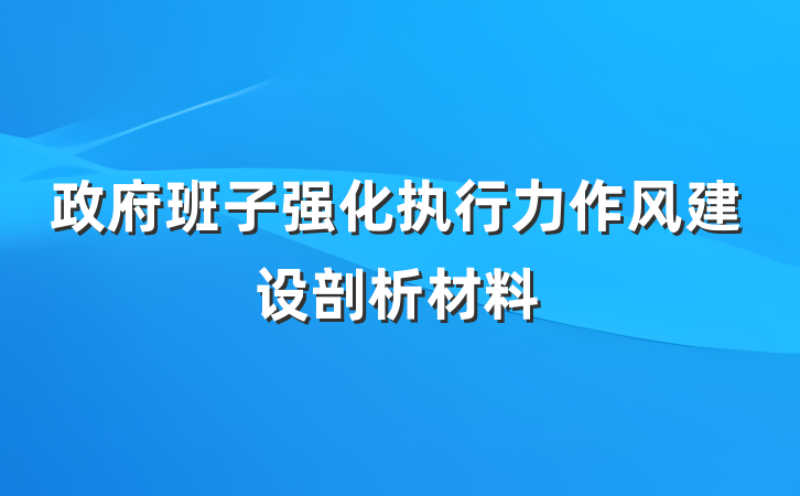 政府班子强化执行力作风建设剖析材料