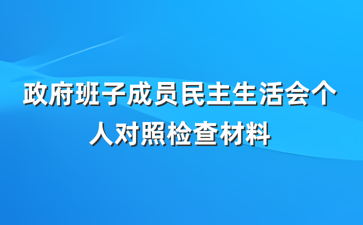 政府班子成员民主生活会个人对照检查材料