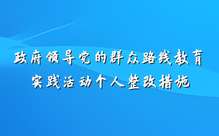 政府领导党的群众路线教育实践活动个人整改措施