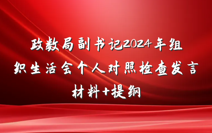政数局副书记2024年组织生活会个人对照检查发言材料 提纲