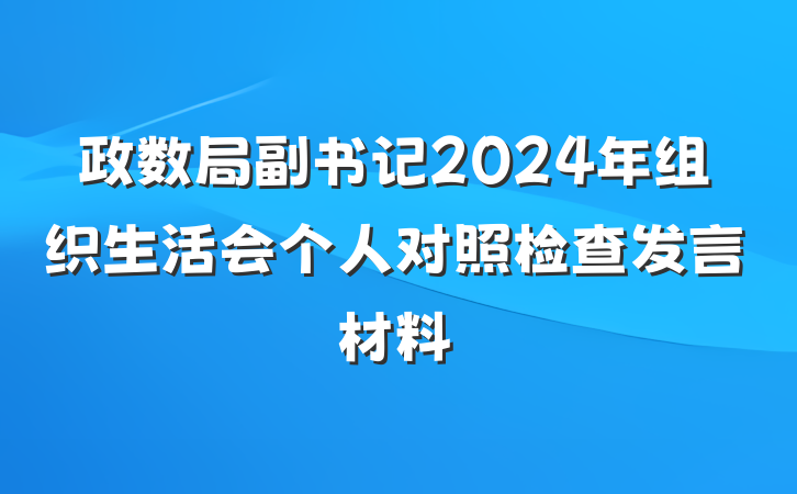 政数局副书记2024年组织生活会个人对照检查发言材料
