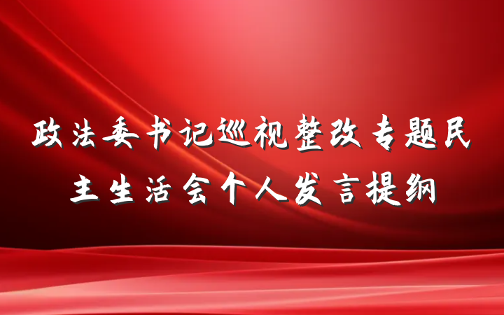政法委书记巡视整改专题民主生活会个人发言提纲