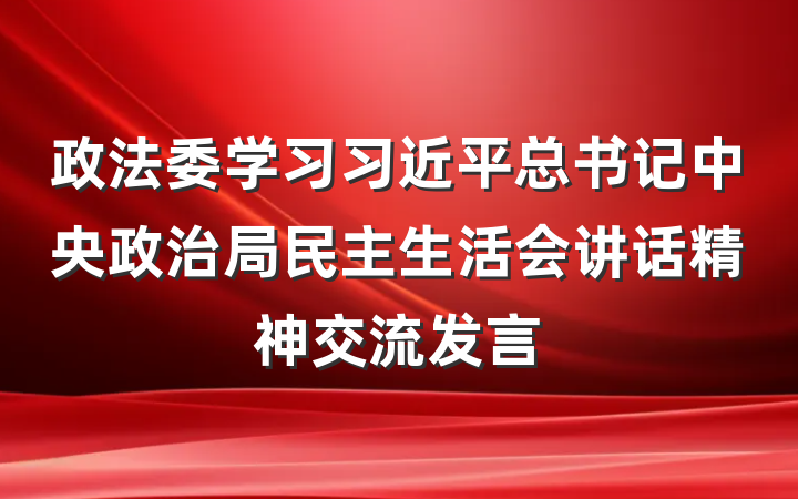 政法委学习习近平总书记中央政治局民主生活会讲话精神交流发言
