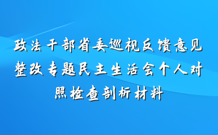 政法干部省委巡视反馈意见整改专题民主生活会个人对照检查剖析材料