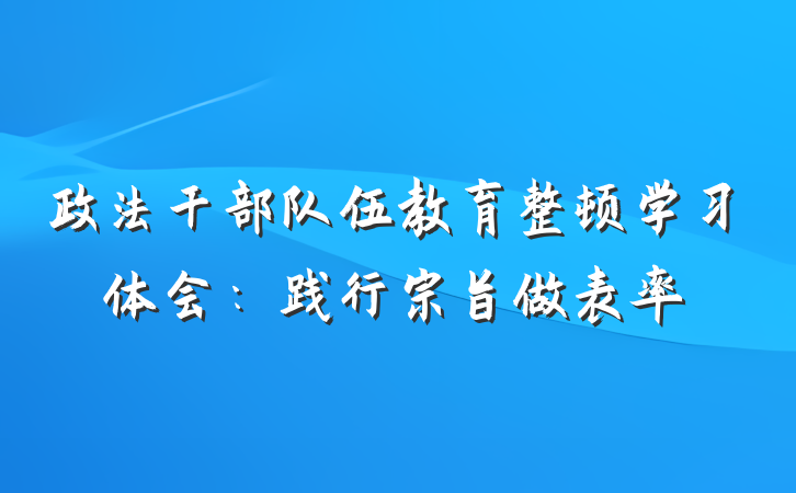 政法干部队伍教育整顿学习体会：践行宗旨做表率