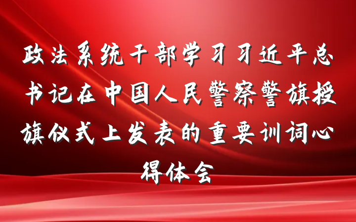 政法系统干部学习习近平总书记在中国人民警察警旗授旗仪式上发表的重要训词心得体会
