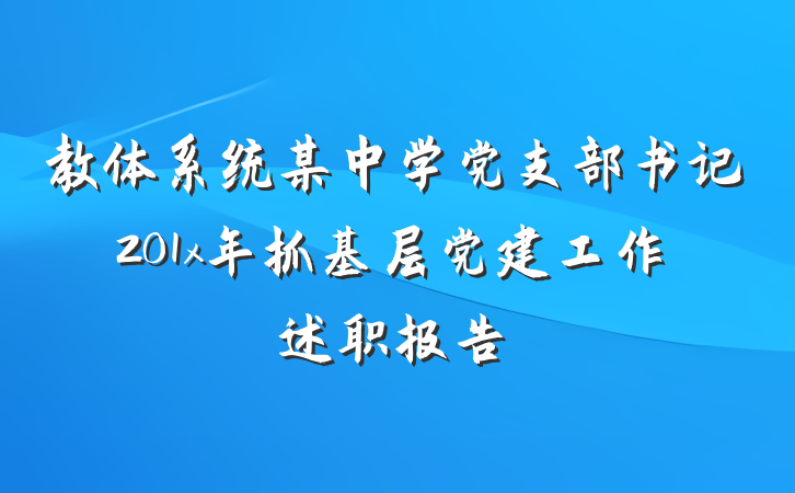 教体系统某中学党支部书记201x年抓基层党建工作述职报告