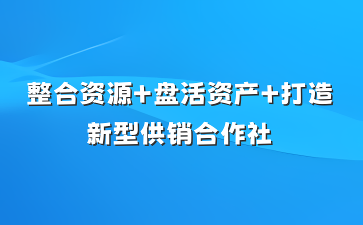 整合资源 盘活资产 打造新型供销合作社