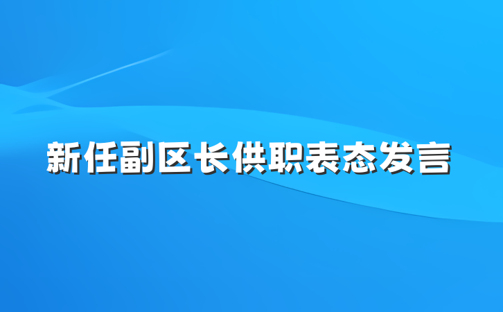 新任副区长供职表态发言