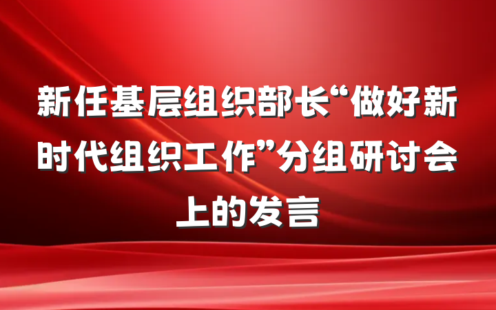 新任基层组织部长“做好新时代组织工作”分组研讨会上的发言