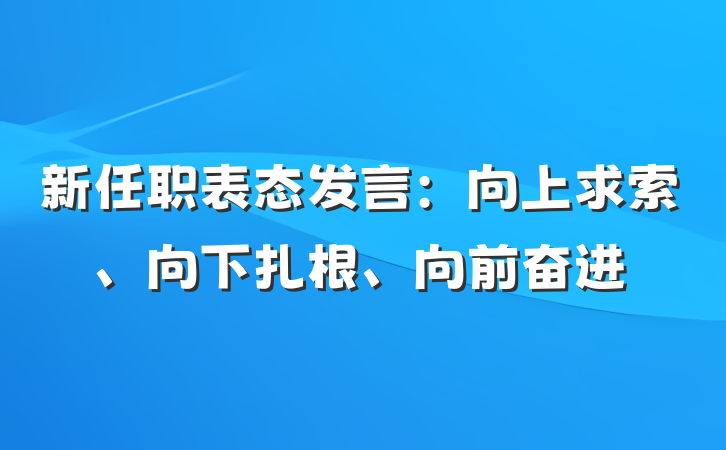 新任职表态发言：向上求索、向下扎根、向前奋进