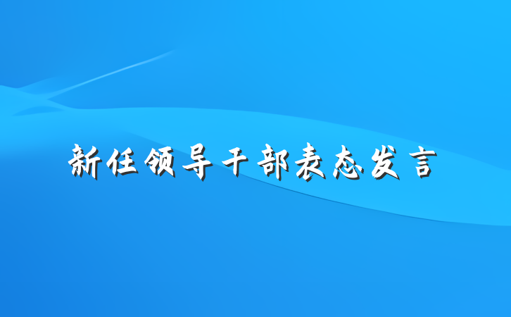 新任领导干部表态发言