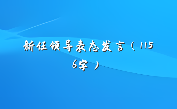 新任领导表态发言（1156字）