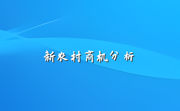 新农村商机分析
