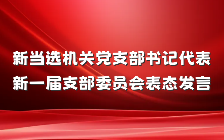 新当选机关党支部书记代表新一届支部委员会表态发言