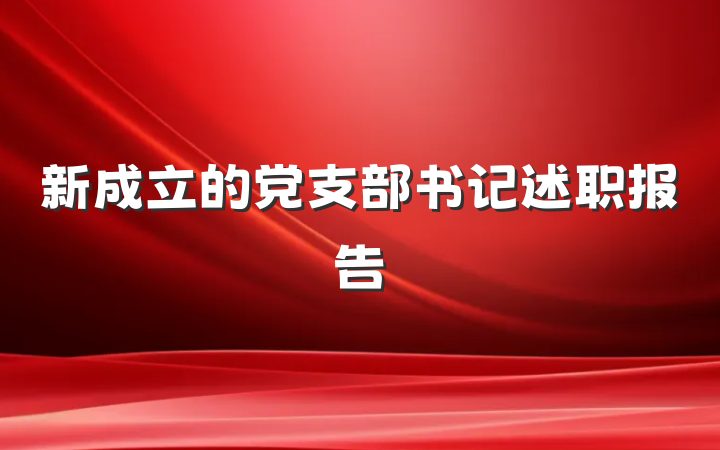 新成立的党支部书记述职报告