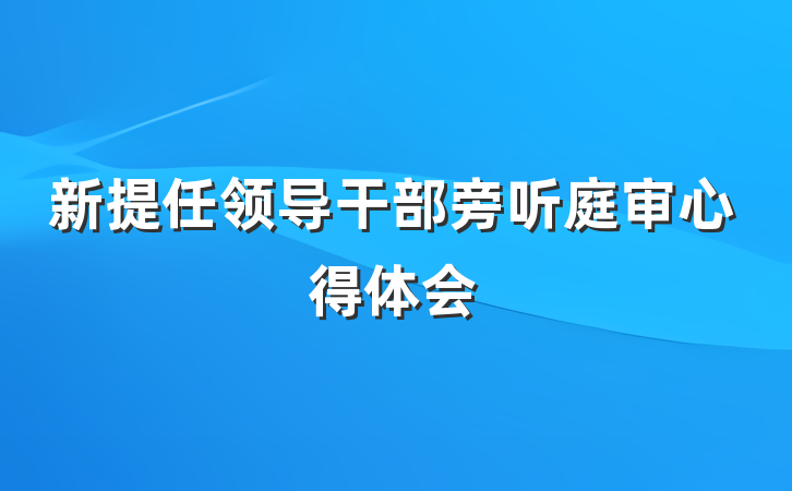 新提任领导干部旁听庭审心得体会