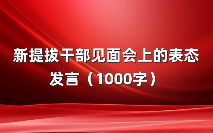 新提拔干部见面会上的表态发言（1000字）