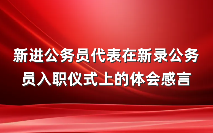 新进公务员代表在新录公务员入职仪式上的体会感言