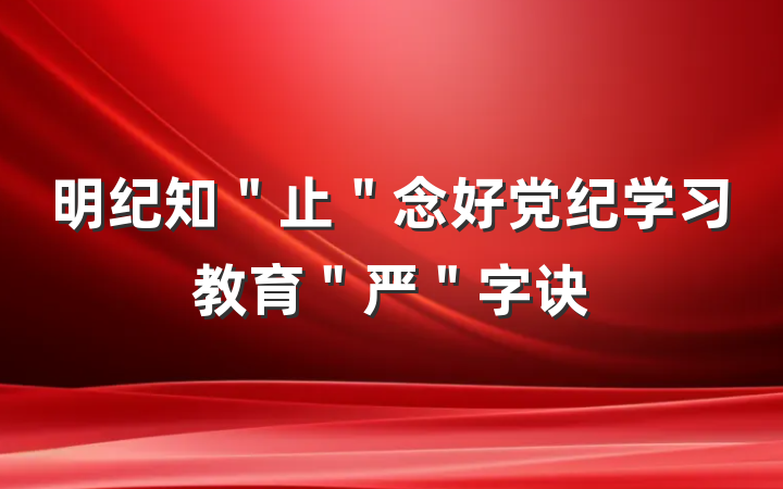 明纪知＂止＂念好党纪学习教育＂严＂字诀