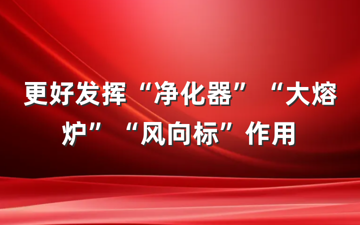 更好发挥“净化器”“大熔炉”“风向标”作用
