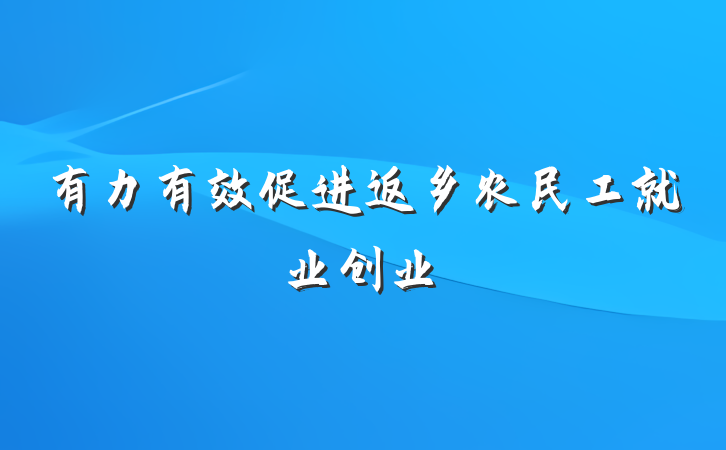 有力有效促进返乡农民工就业创业