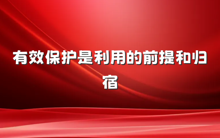 有效保护是利用的前提和归宿