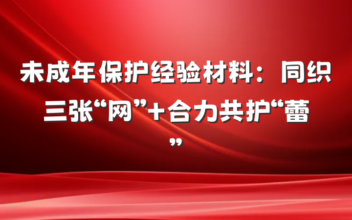 未成年保护经验材料：同织三张“网”+合力共护“蕾”