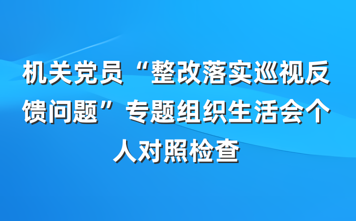 机关党员“整改落实巡视反馈问题”专题组织生活会个人对照检查