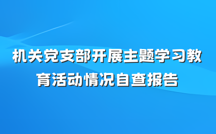 机关党支部开展主题学习教育活动情况自查报告