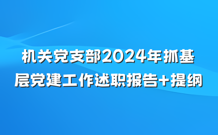 机关党支部2024年抓基层党建工作述职报告 提纲