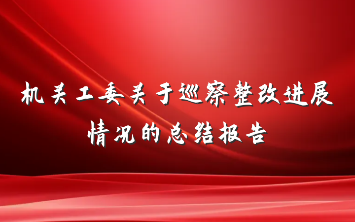 机关工委关于巡察整改进展情况的总结报告