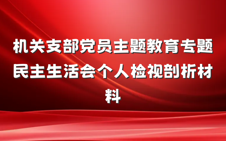 机关支部党员主题教育专题民主生活会个人检视剖析材料