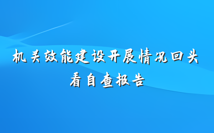 机关效能建设开展情况回头看自查报告