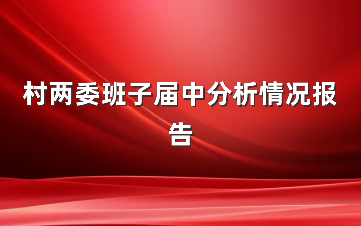 村两委班子届中分析情况报告