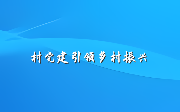 村党建引领乡村振兴