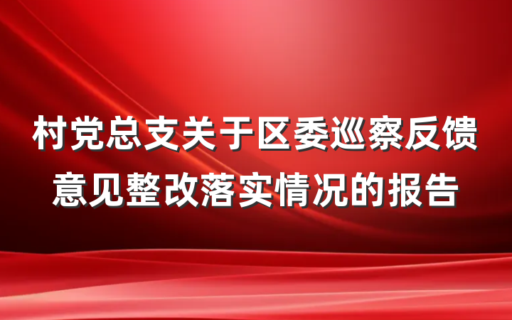 村党总支关于区委巡察反馈意见整改落实情况的报告