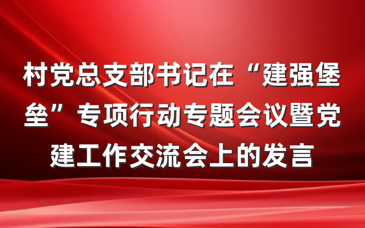 村党总支部书记在“建强堡垒”专项行动专题会议暨党建工作交流会上的发言