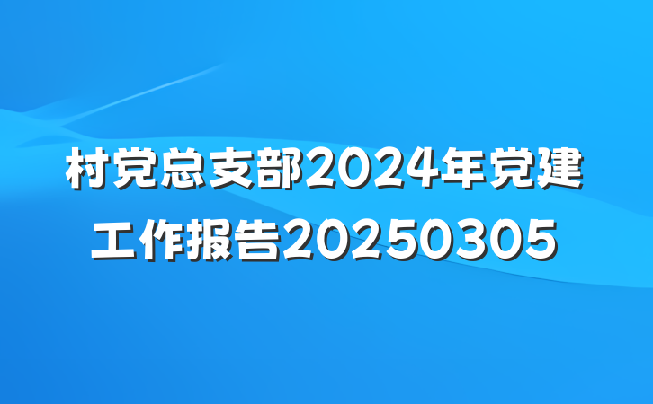 村党总支部2024年党建工作报告20250305