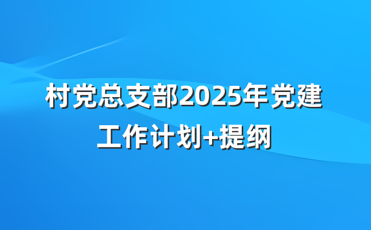 村党总支部2025年党建工作计划 提纲
