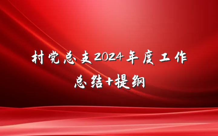 村党总支2024年度工作总结 提纲
